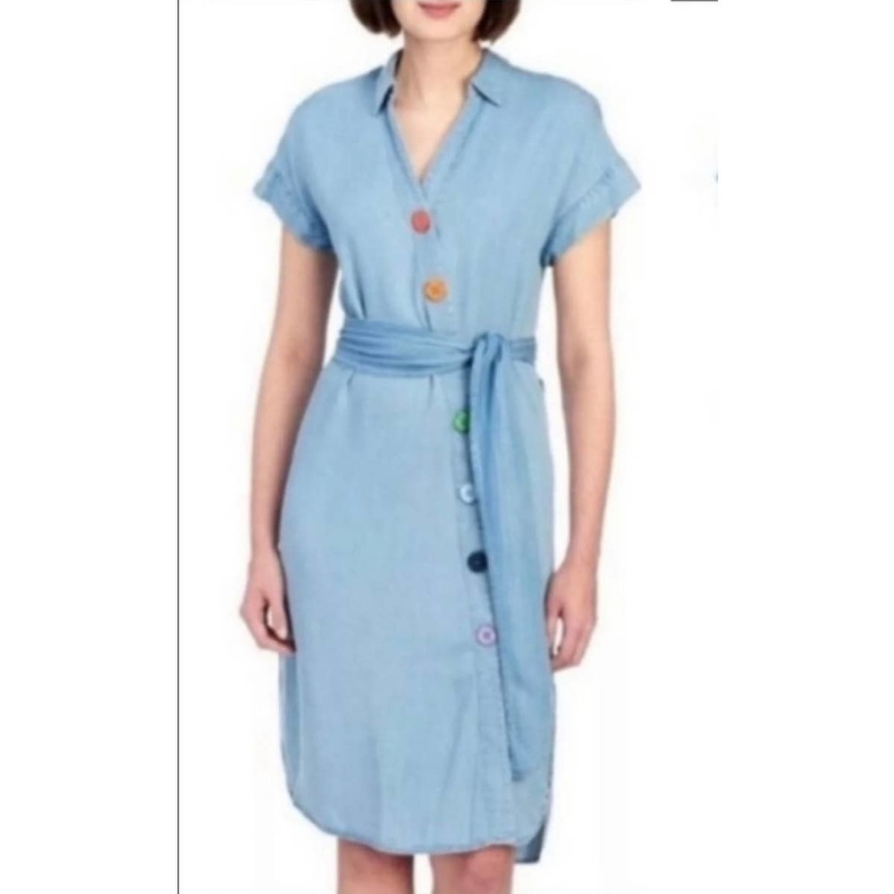 Chelsea & Theodore dress NWT
